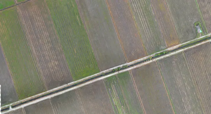 Imej orthomosaic RGB kawasan sawah padi